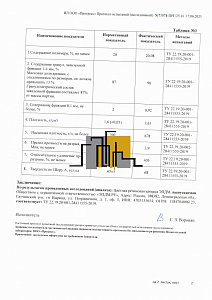 ПИ 73078 к скрт соотв до 2028 г